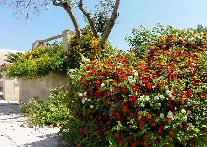 La Casina Di Alojamento de Turismo Rural *