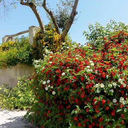 La Casina Di Farm stay *